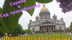 Исаакиевская площадь. Сирень и Сад-трансформер/в прошлом и в этом году/