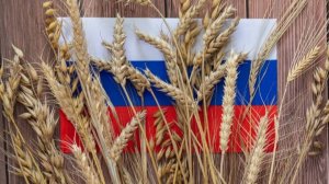 В поле колосится рожь…