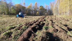 СЛОЖНАЯ ПАХОТА ЦЕЛИНЫ ТРАКТОРОМ Т40/Я СТАРАЛСЯ КАК МОГ