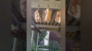 сало горячего копчения