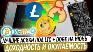 Лучшие асики под Scrypt. Июнь 2025. Доходность и окупаемость при майнинге LTC + DOGE. 9-летие ViaBTC