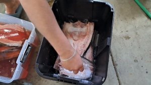 Подготовка к копчению карпа. Этап 2. Засолка