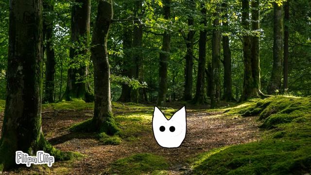 Кто любит Тоторо? смотреть онлайн