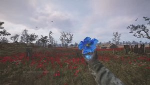 STALKER 2 #7 Маковое поле