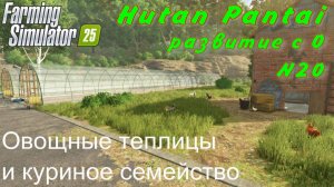 Farming Simulator 25. Hutan Pantai. Развитие с 0. 20 часть.Овощные теплицы и куриное семейство.