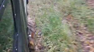 луаз 969м по тайге Приморский край