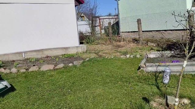 3.04.25. Начала кормить клубнику. Наслаждайтесь цветочка? смотреть онлайн