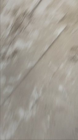 Догонялки