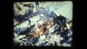 Старая киноплёнка НР 7  #НВЗРКУ  #ГВЗРКУ  #Нижний Новгород