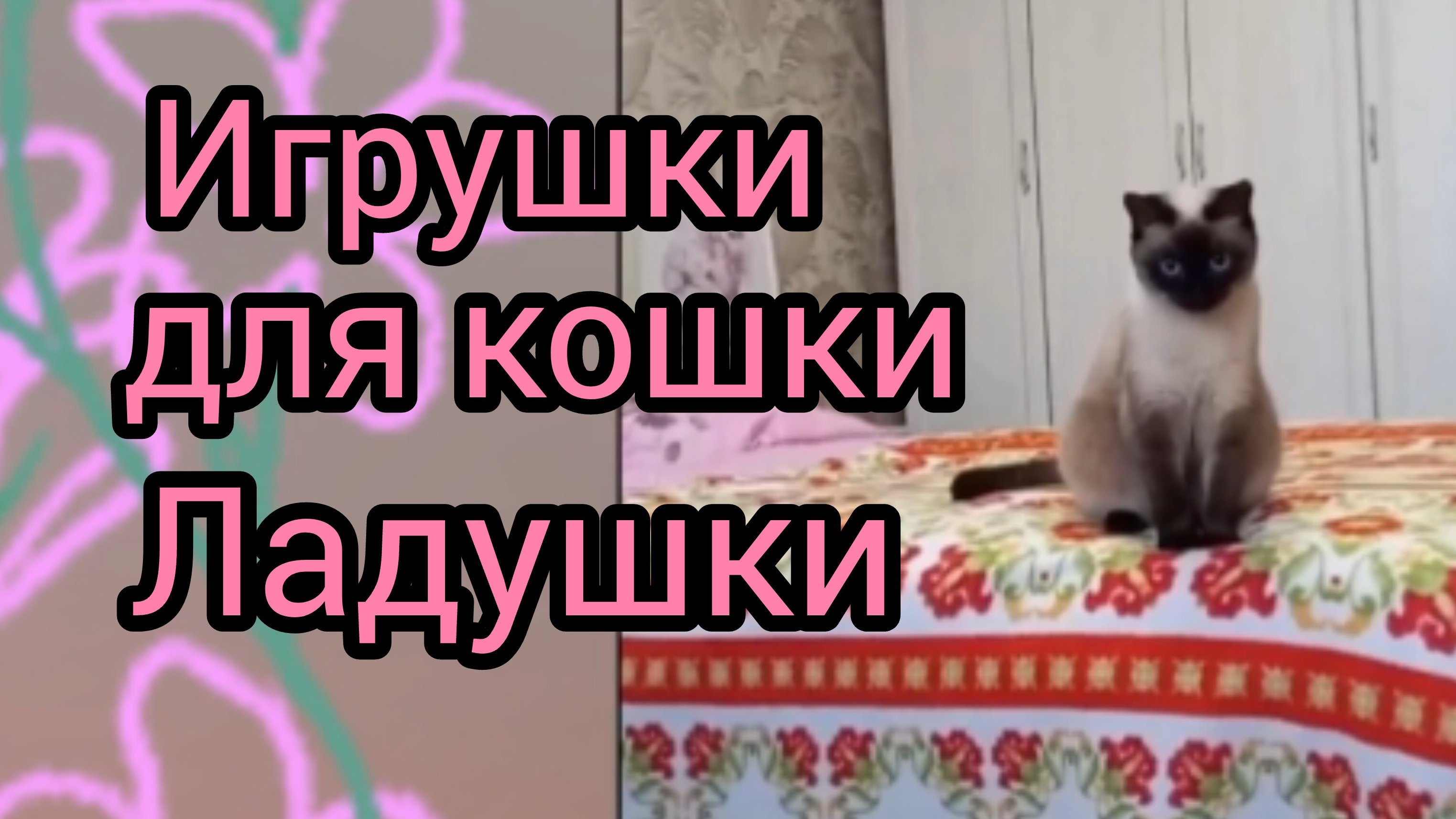 Игрушки для🐱Ладушки‼️#прикольные котики #смешныекоты #кошка Ладушка #видосыоткота #прикольныекоты