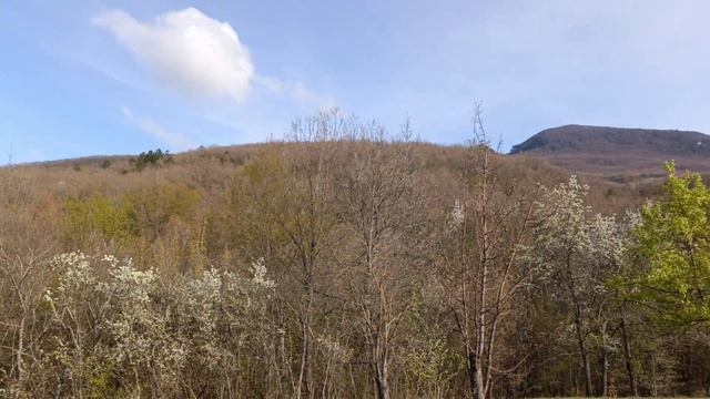 гора Бойка Крым #горабойка #крым смотреть онлайн