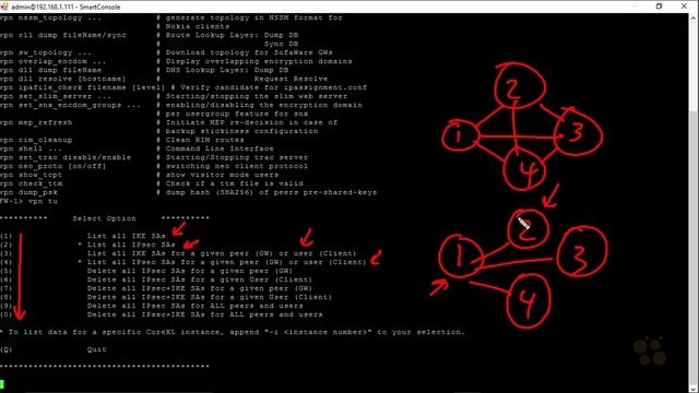 47 Check Point CCSA R80 VPNs VPN Tunnel Utility CBT Nuggets-1 смотреть онлайн