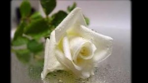 Без пятна и порока ❤️ христианская песня