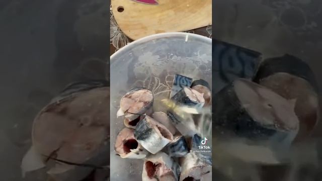 Засолка рыбы (скумбрии, иваси, селёдки, горбуши, сёмги и т.п.) сухим способом быстро и вкусно..