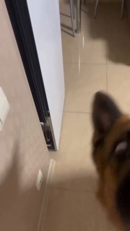 Карточка видео