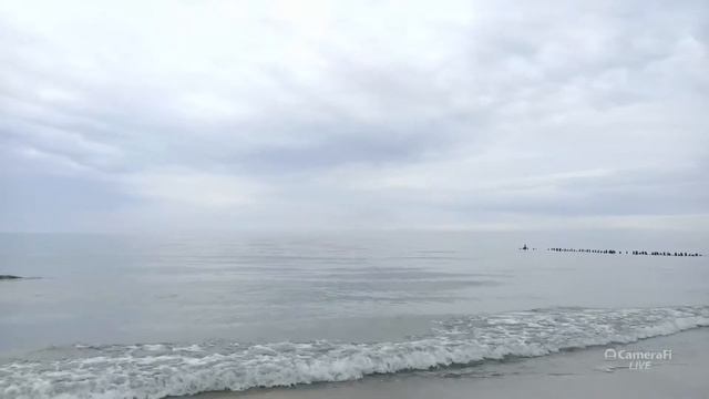 Ищем янтарь на пляже Балтийского моря