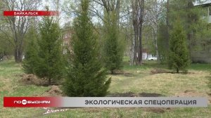 15-летние сосны высадили в Байкальске