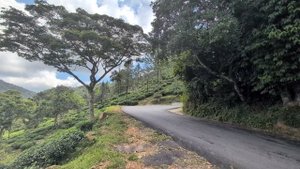 Заповедник Понмуди.