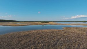 "ОЧАРОВАНИЕ ДУШИ"