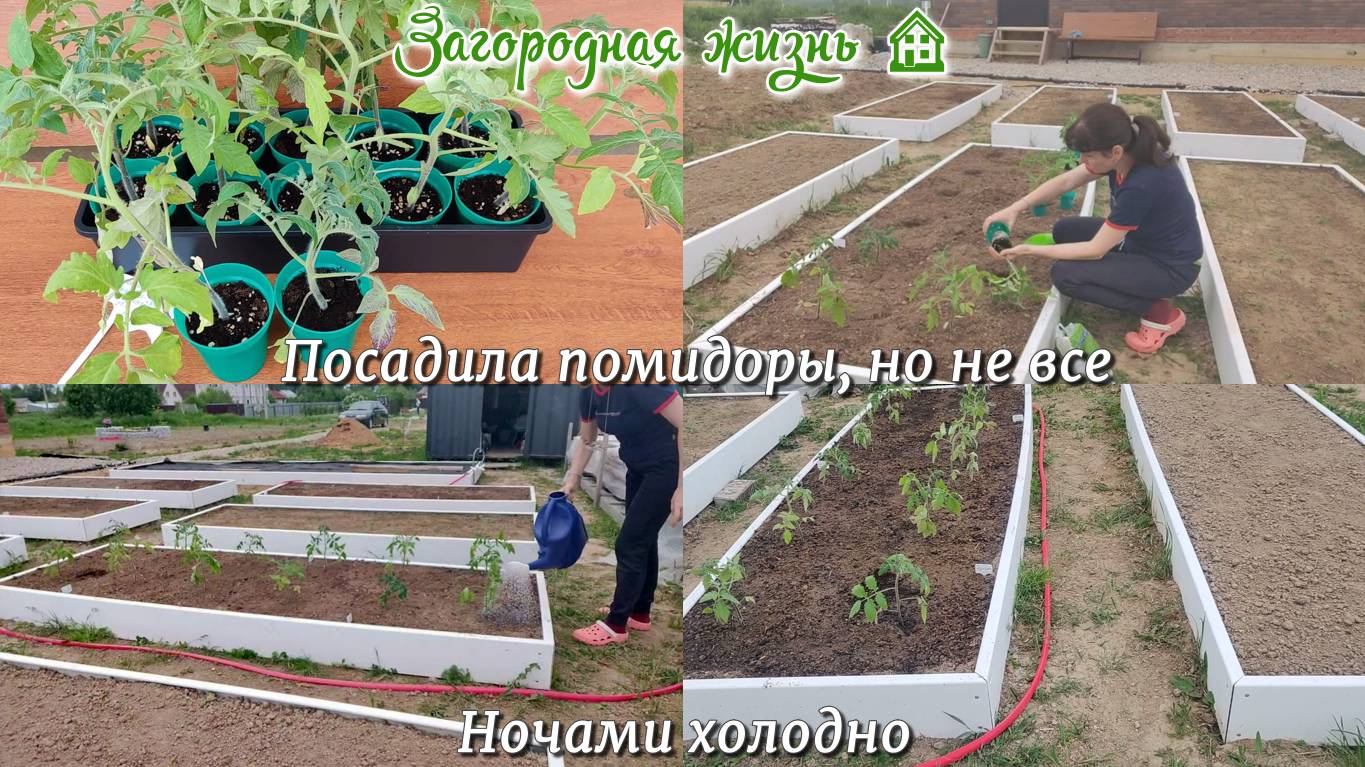 ЗАГОРОДНАЯ ЖИЗНЬ 🏠 Посадила помидоры, но не все. Ночами холодно
