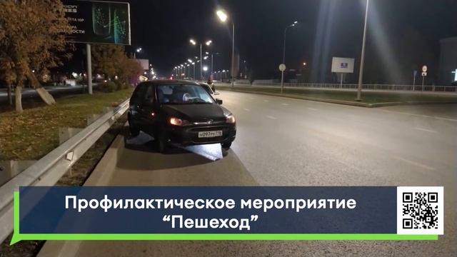 Профилактическое мероприятие "Пешеход" проходит в Тат