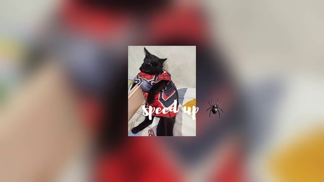 FLOKI ЕВСЭ - девочка с моих снов теперь со мной 🕷️ speed up ? смотреть онлайн