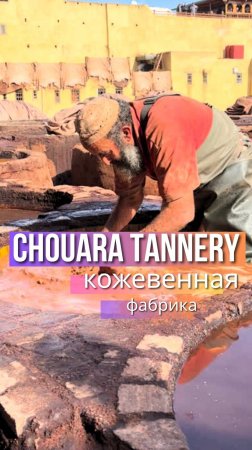 Не поверишь, что используют для обработки кожи! КАК работает старейшая КОЖЕВЕННАЯ фабрика МАРОККО