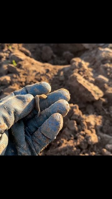 Бедный Йорик...точнее крестик. это его жизнь потрепала смотреть онлайн