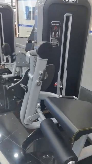Разгибание ног Insight Fitness TY13