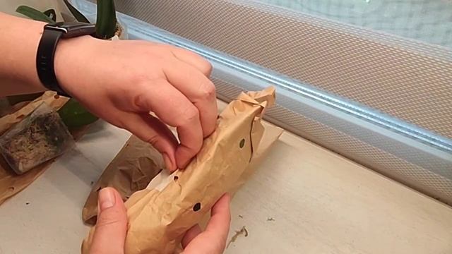 Распаковка орхидей от нового продавца.Пришла за одной, ушла с кучей 🤪🤣