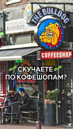 Чего голландцам не хватает в России?