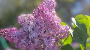 Подготовка к распределению денег