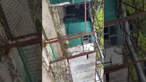 Страшилка ‘’Мертвый Призрак Бабушки Манюни’’/#Драконы из бумаги