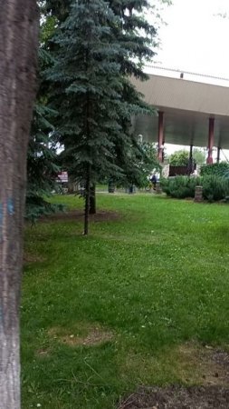 Струковский сад. Самара.