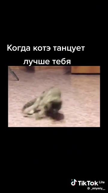 клёвое шоу часть 12