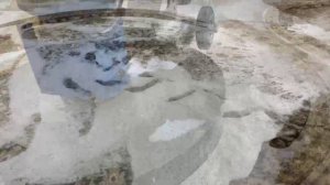 Профессиональная чистка ковров в Краснодаре