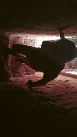 заброшенная церковь