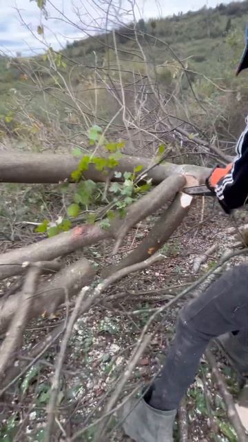 STIHL - MS 180 в роботі смотреть онлайн