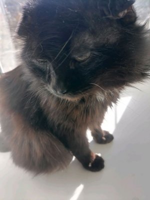 Вобщим я в печали.. Интернет))))