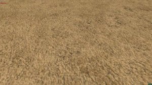 Структура роты средних танков Вермахта 1 февраля 1941г