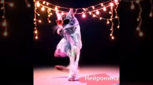 Кот танцует Брейк Данс