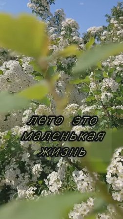 #shorts Летом в палатках,две ночёвки.