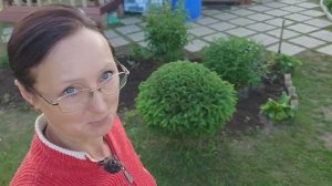 Видео привет с 6 соток 2 июня 2025 года.