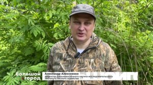ХЕХЦИРСКИМИ ТРОПАМИ. Большой город 04/06/2025