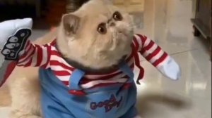 АНУ, где эти рыбаки которые на Лене ???

 1000017729.mp4
