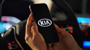 Kia начала поиск специалиста по сертификации авто в России