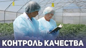 Контроль качества