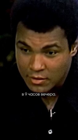 Король бокса плохое не советует