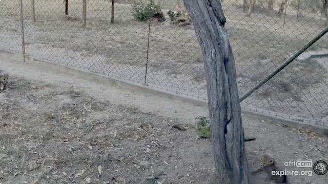 Мама на прогулке с детьми красиво разговаривает