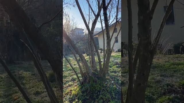 Мой земельный участок, участок земли смотреть онлайн